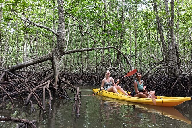 Koh Yao Yai Mangrove Forest Kayak with Local Life Discovery Tour - What Reviewers Have Said