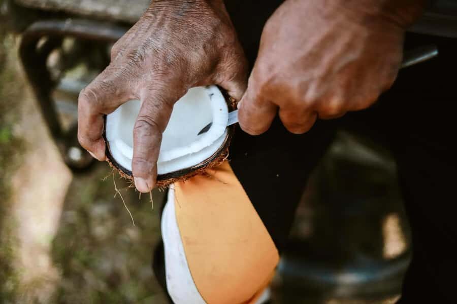 Koh Yao Yai: Options of Community Tour, Ethical Elephant - What Makes This Tour Stand Out?