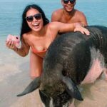 kohsamui.tours - Pig Island Snorkeling Eco Tour by Speed Boat - What Travelers Love About This Tour