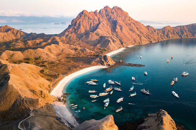 Komodo Adventure in a Day 6 Stunning Spots with Mac Cruise - The Practical Side: What’s Included and What’s Not