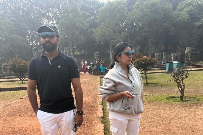 Konark Temple 3D skip the line Walking Tour - Who Should Consider This Tour?