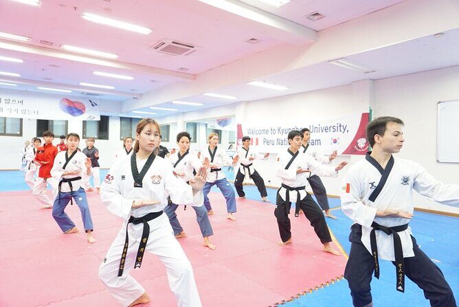 Korean Traditional Taekwondo Class in Gangnam - What You Can Expect During the Tour