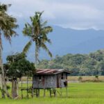 Kota Belud Sunday Market Tour from Kota Kinabalu - Authenticity and Past Tour Feedback