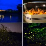 Kota Kinabalu: 1-Day Mengalum Isle & Mengkabong River Cruise - Why This Tour Works for Different Travelers