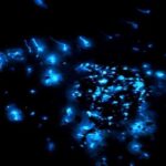 Kota Kinabalu: 5-in-1 Kinabalu View, Fire Show, Blue Tear - A Detailed Look at What to Expect