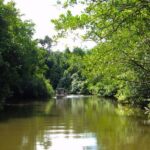 Kota Kinabalu: Beringgis Mangove Fireflies, Sunset Tour & Dinner - Authenticity and Value