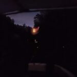 Kota Kinabalu: Mengkabong Fireflies River Cruise - What to Expect and Practical Tips