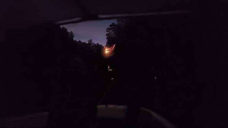 Kota Kinabalu: Mengkabong Fireflies River Cruise - What to Expect and Practical Tips