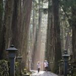 Koyasan Private Day Trip from Osaka or Kyoto with English Driver - Value and Practicality: Is This Tour Worth It?