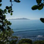 Kpiti Coast: Escarpment Track Guided Hiking Tour, Coffee + Lunch - The Trail: Walking the Escarpment on the Te Araroa Trail