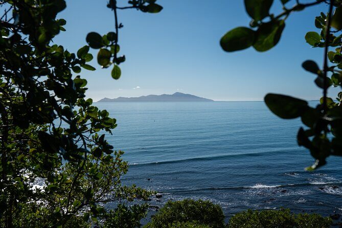 Kpiti Coast: Escarpment Track Guided Hiking Tour, Coffee + Lunch - The Trail: Walking the Escarpment on the Te Araroa Trail