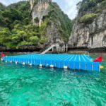 Krabi: Early Bird Phi Phi, Maya & 4 Islands Speedboat Tour - Pricing and Value