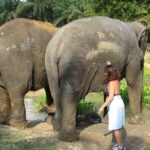 Krabi Elephant Sanctuary and Emerald Pool Adventure - Why This Tour Is a Great Choice