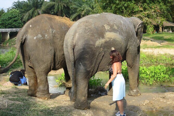 Krabi Elephant Sanctuary and Emerald Pool Adventure - Why This Tour Is a Great Choice