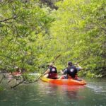 Krabi: Full-Day Kayaking Adventure at Ao Thalane - What to Expect and Practical Tips