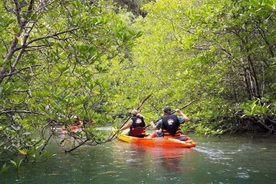 Krabi: Full-Day Kayaking Adventure at Ao Thalane - What to Expect and Practical Tips