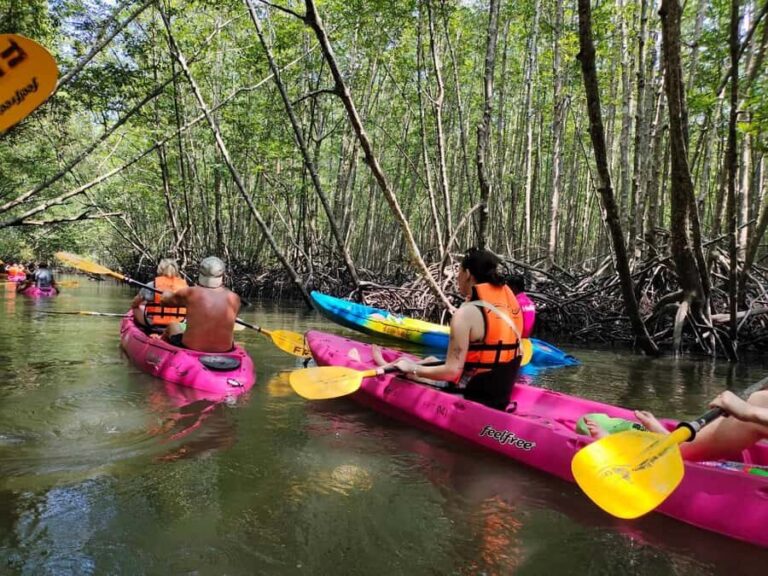 Krabi: Half-Day Kayak Adventure at Ao Thalane - The Experience in Detail