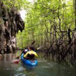Krabi: Half-Day Kayaking Adventure at Ao Thalane - The Itinerary in Detail