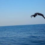 Krabi: Hong Island Cruise by Double Decker Boat - FAQ