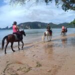 Krabi Horse Riding on the Beach and atv Extreme - The Horseback Riding Experience