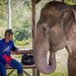 Krabi Immersive Elephant Sanctuary Experience - The Value and Practicalities