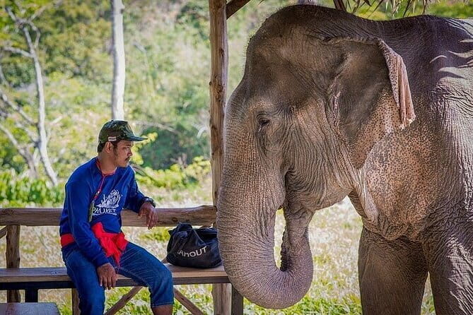 Krabi Immersive Elephant Sanctuary Experience - The Value and Practicalities