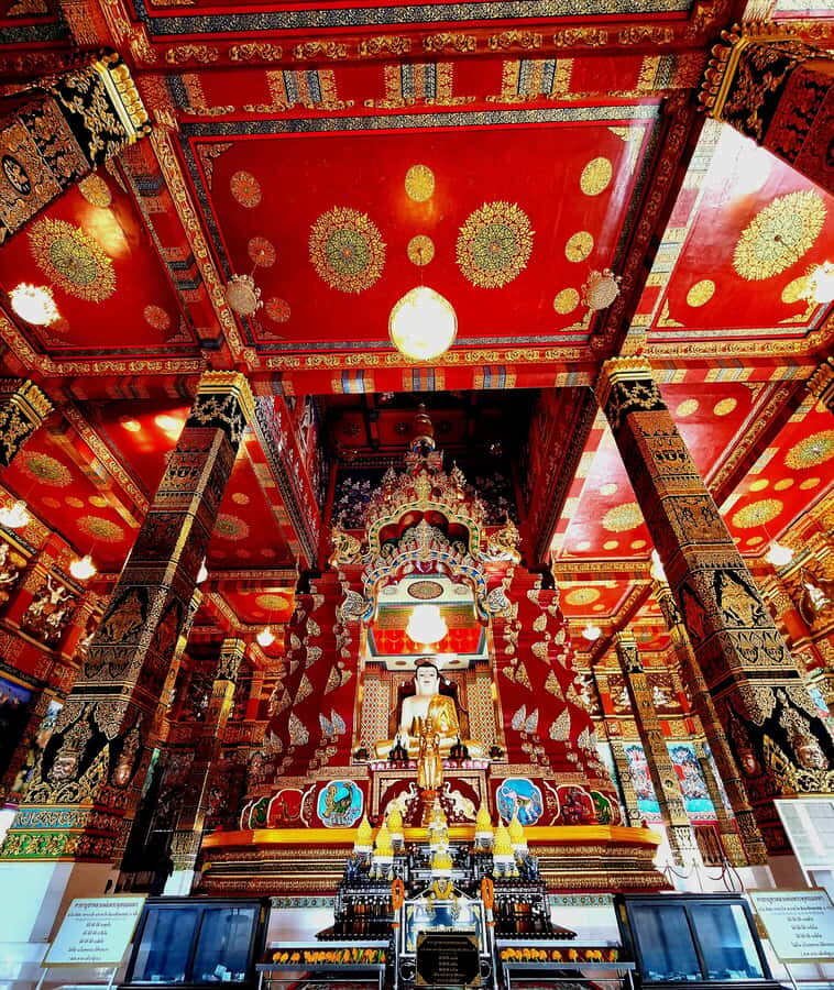 Krabi: Journey Secret paths Holy Temples & Hidden Waterfall - Exploring Tharn Bok Khorani Waterfall