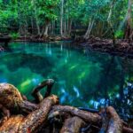 Krabi Jungle Tour with Kayaking at Ao Thalane - Who Will Love This Tour?