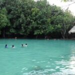 Krabi Jungle Tour:Hot Spring Waterfall,Emerald Pool & Tiger Cave - Why You Should Consider This Tour