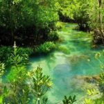 Krabi Jungle Tour:Krabi Hot Springs Waterfall,Emerald Pool and Tiger Cave Temple - Transportation, Group Size, and Duration