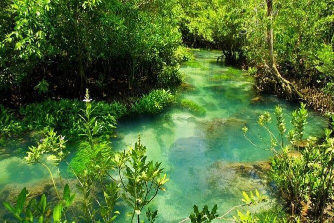 Krabi Jungle Tour:Krabi Hot Springs Waterfall,Emerald Pool and Tiger Cave Temple - Transportation, Group Size, and Duration