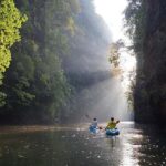 Krabi: Kayaking in Ao Thalane Bay Beautiful Mangrove Forest - What to Expect in Practice