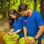 Krabi Mangrove Kayak &Elephant Shelter with Private Transfer - Exploring the Wildlife and Environment