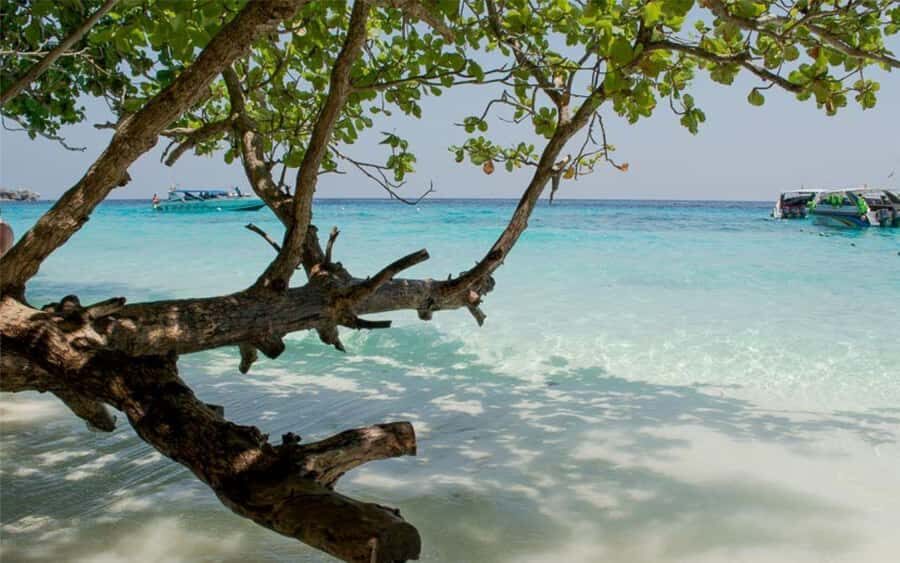 Krabi: Similan Islands Day Trip by Speedboat & Buffet Lunch - The Value of This Experience