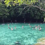 Krabi Tiger cave , emerald pool, hosspring waterfall jungle - Introduction to the Tour Experience