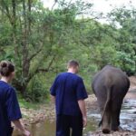 Krabi: Unique Dusk Ethical Elephant Sanctuary Experience - The Value of an Ethical Elephant Experience in Krabi