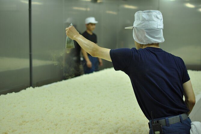 KTIC Friends Japanese Sake Brewery Viewing and Tasting in Kyoto - Why This Tour Is Worth Considering