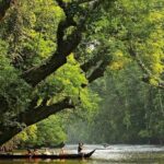 Kuala Besut to Taman Negara One Way SIC Transfers - Value for Money