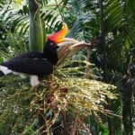 Kuala Lumpur Bird Park & Countryside Escape Tour - How the Experience Feels in Practice