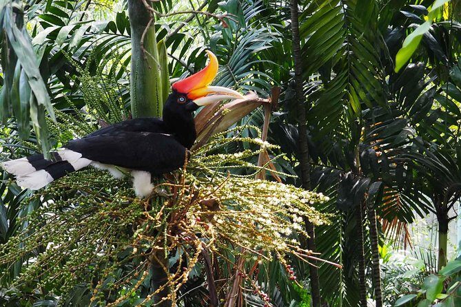 Kuala Lumpur Bird Park With Return Transfers - Who Would Enjoy This Tour?