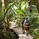 Kuala Lumpur Cameron Highlands & Tea Plantations Scenic Tour - The Practicalities: Transport, Duration, and Costs