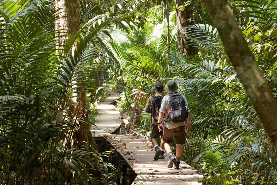 Kuala Lumpur Cameron Highlands & Tea Plantations Scenic Tour - The Practicalities: Transport, Duration, and Costs
