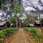 Kuala Lumpur: Taman Negara Tour w/Lata Berkoh Falls & Lunch - What Makes This Tour Valuable