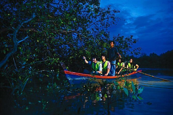 Kuala Selangor Fireflies & Nature Escape  From Kuala Lumpur - Authentic Insights from Reviewers