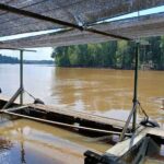 Kuala Sepetang Private Day Tour From Ipoh - Nature and Wildlife at Kuala Sepetang Fish Farm