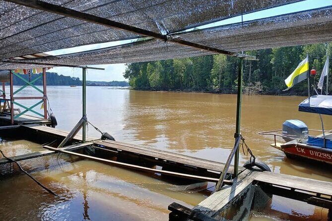 Kuala Sepetang Private Day Tour From Ipoh - Nature and Wildlife at Kuala Sepetang Fish Farm