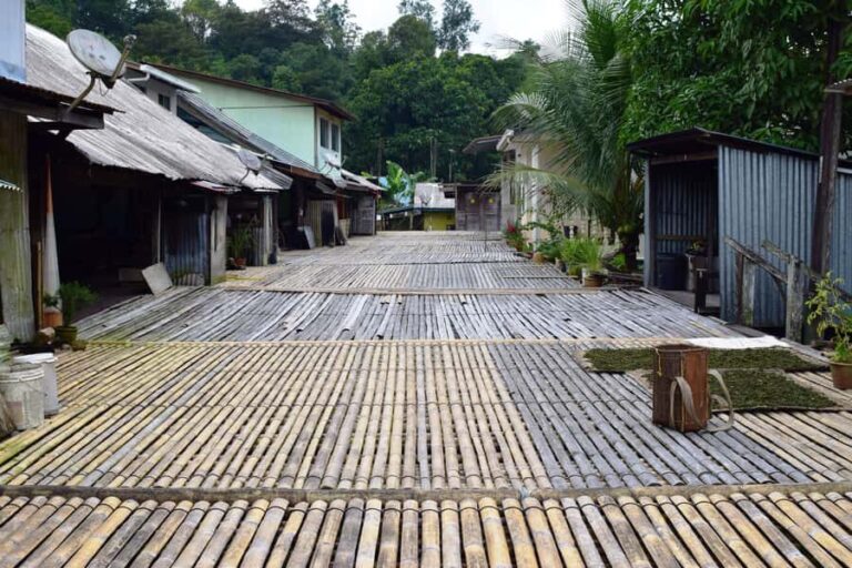 Kuching: Annah Rais Longhouse Tour with Lunch - What to Expect from Your Day