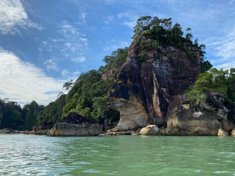 Kuching: Guided Day Trip to Bako Wildlife Day Tour - What You Can Expect on This Tour