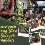 Kuching Orangutan & Bidayuh Longhouse - Exploring Semenggoh Wildlife Centre