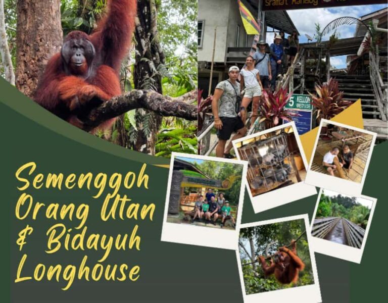 Kuching Orangutan & Bidayuh Longhouse - Exploring Semenggoh Wildlife Centre